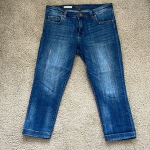 Kut from the Kloth Lauren Crop Straight Leg Petite